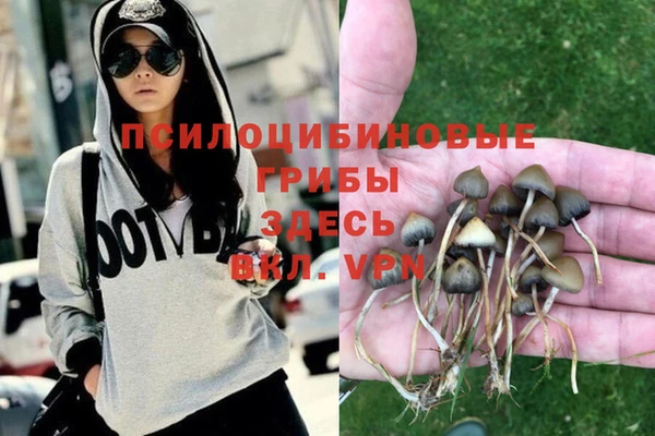 a pvp Баксан