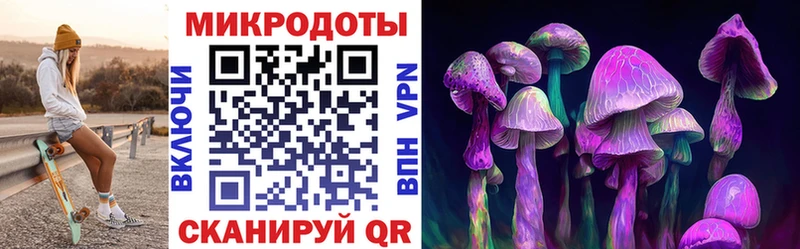 Галлюциногенные грибы Cubensis  Купить где  Сунжа 
